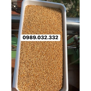Phân hoa mật ong (phấn hoa cafe) - 1kg