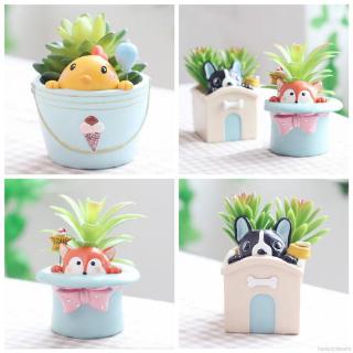 Chậu Hoa Mini Bằng Gốm