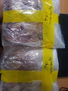 Mực Cà Mau 500g (50 con)