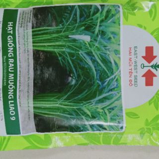 13k 50g hạt rau muống