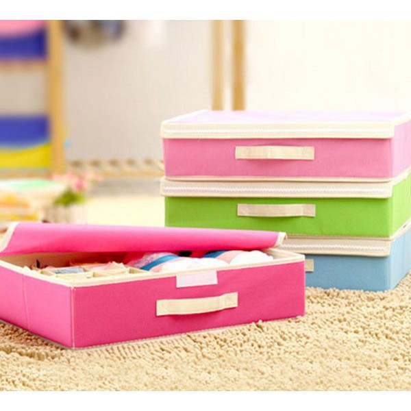 Hộp đựng đồ lót 16 ngăn có nắp đậy tiện dụng - giao theo màu - GD538