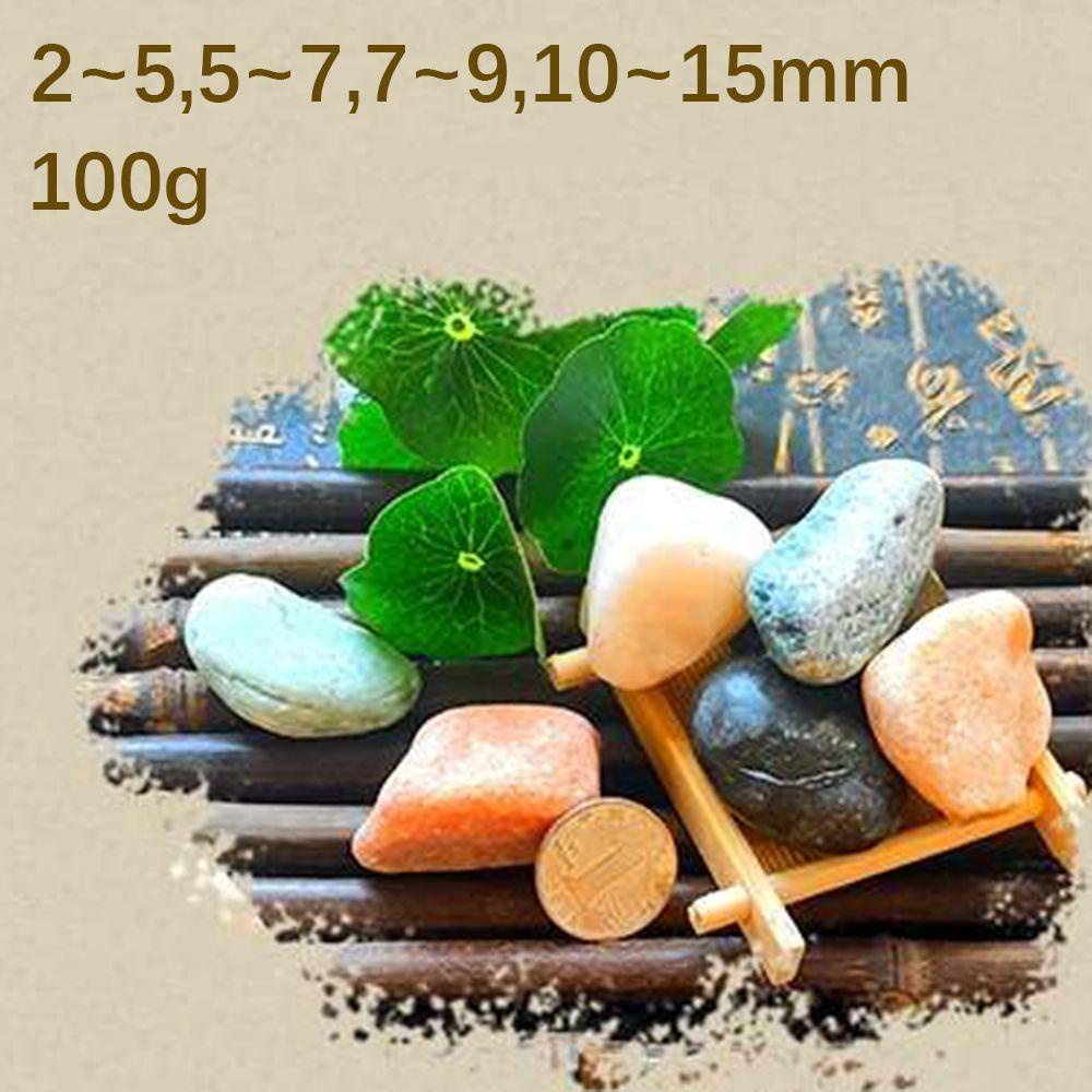 NARCISSUS 100G Gravel Chip Aquarium Succulent Pebble Garden Fish Tank Bonsai 2-15MM Decoration