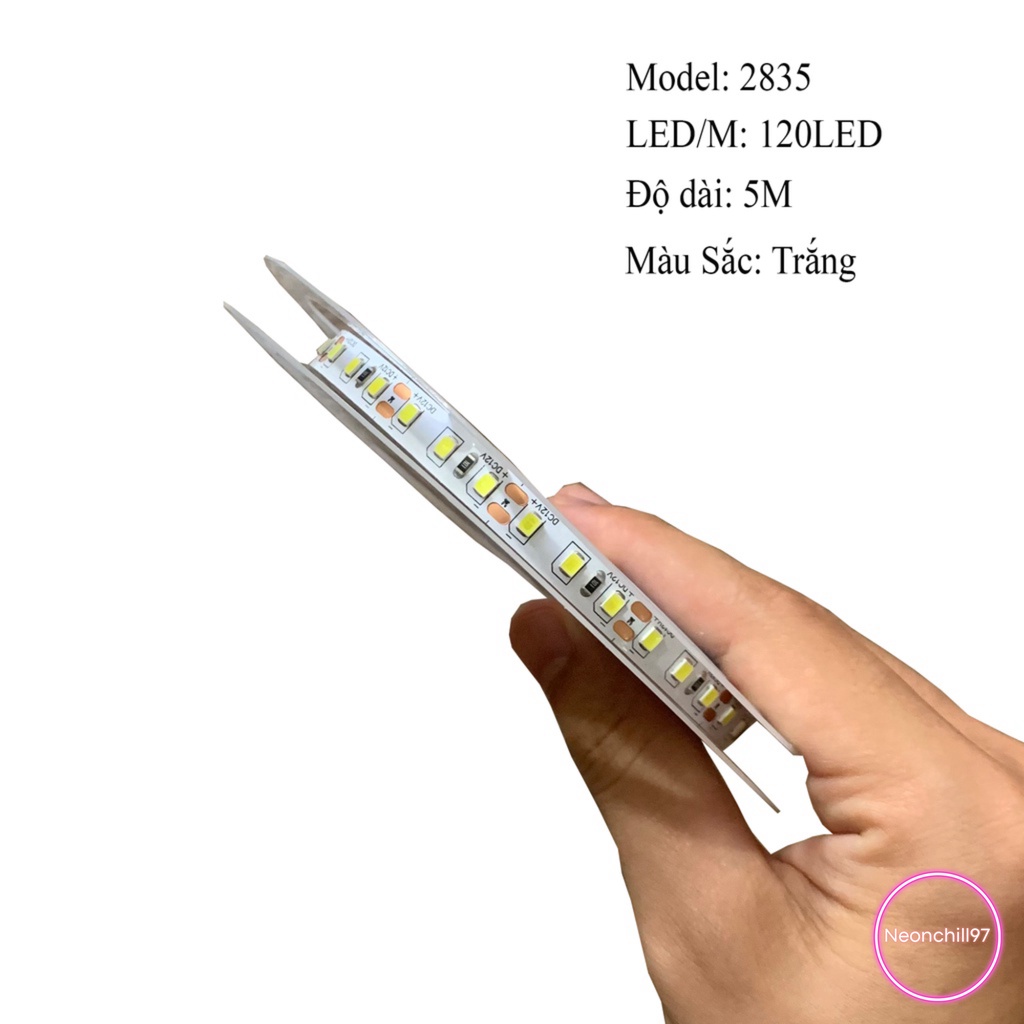 Led dây 2835 120 mắt trên trên 1m Neonchill97, Đèn led trang trí