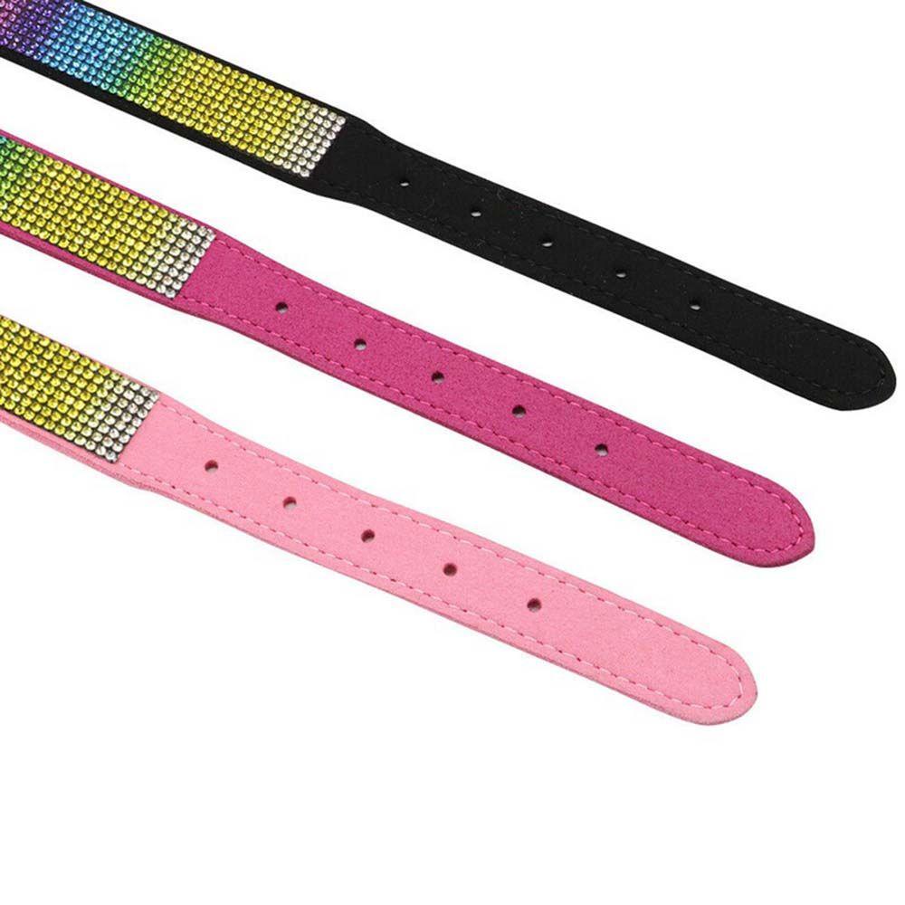 Vòng Cổ Chó AUGUSTINA|Phụ Kiện Cho Thú Cưng Chihuahua Dễ Dàng Điều Chỉnh