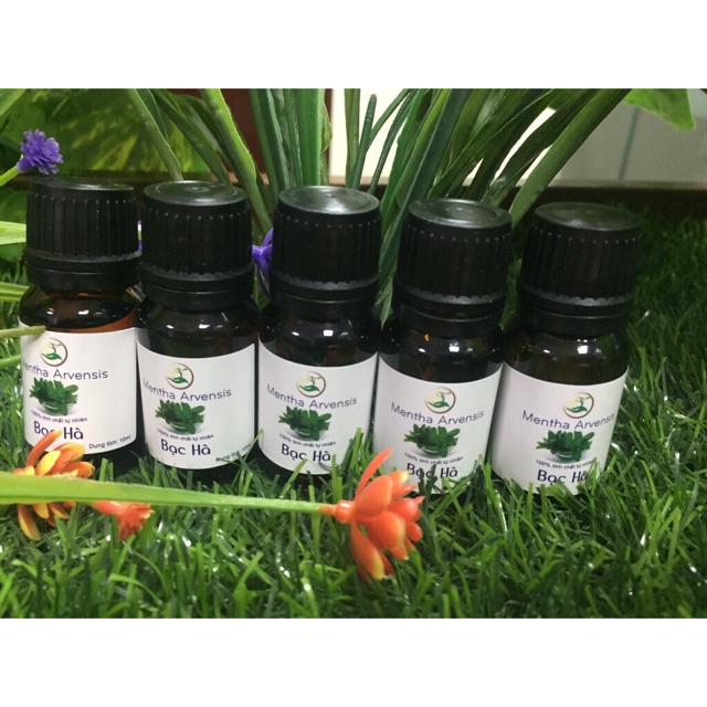 Tinh dầu Bạc Hà 10ml-50ml nguyên chất 100% tự nhiên của Viện Hàn Lâm KHCNVN