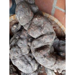 Hà Thủ Ô Đỏ Đã Sơ Chế 1kg