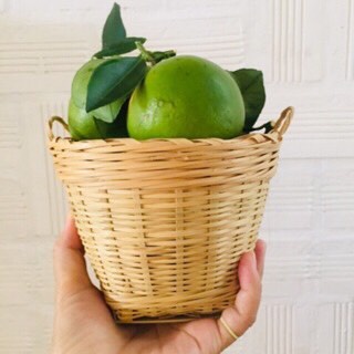 Giỏ tre cần xé trang trí, cắm hoa, giỏ tre nhí trồng hoa, decor phòng
