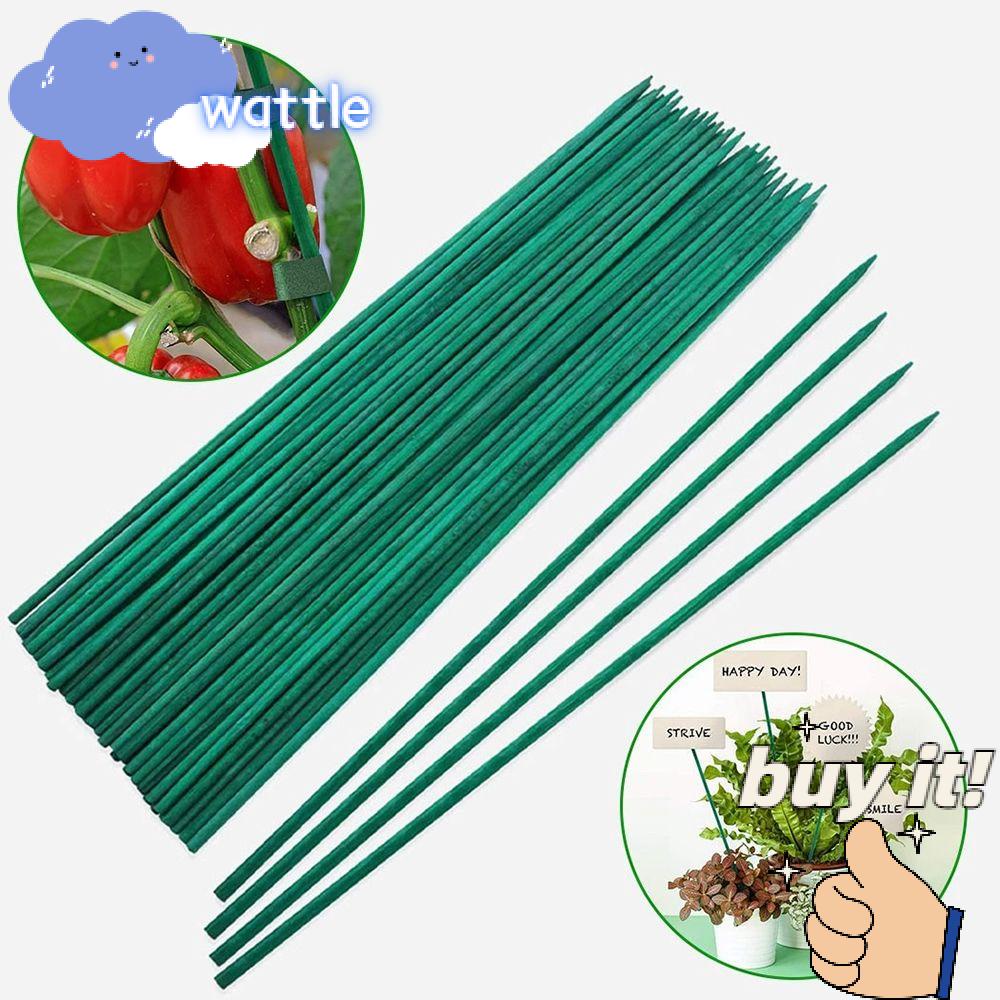 10 / 30 Que Trang Trí Hình Hoa|Giá Đỡ Cố Định Cây Dây Leo Màu Xanh Lá