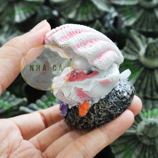 SỦI OXY HÌNH DÁNG VỎ TRAI HỒNG MINI