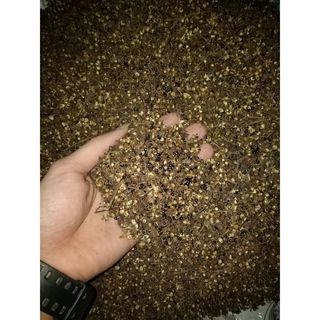 1KG HẠT MẮC KHÉN(HẠT XẺN) TÂY BẮC LOẠI ĐẸP