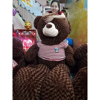 Gấu bông Teddy 80cm