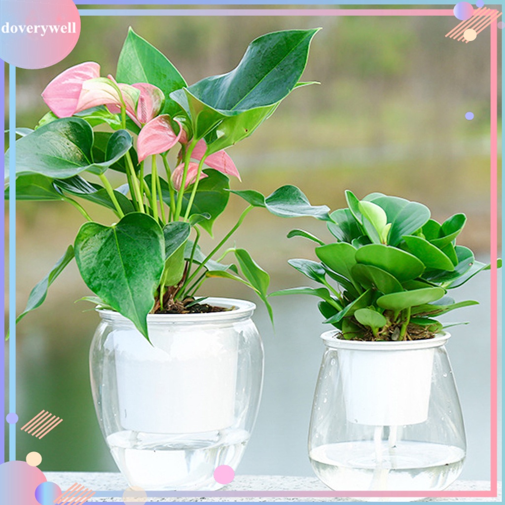 Chậu trồng cây bằng nhựa thiết kế tự tưới nước trong suốt sử dụng tại nhà