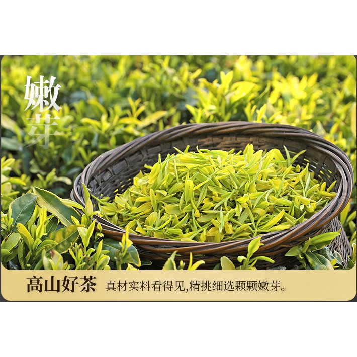 Trà Xanh Hoàng Kim Nha - 07 gram DÙNG THỬ - Trà ngon, dòng cao cấp, trà thơm ngon đậm vị ngọt hậu