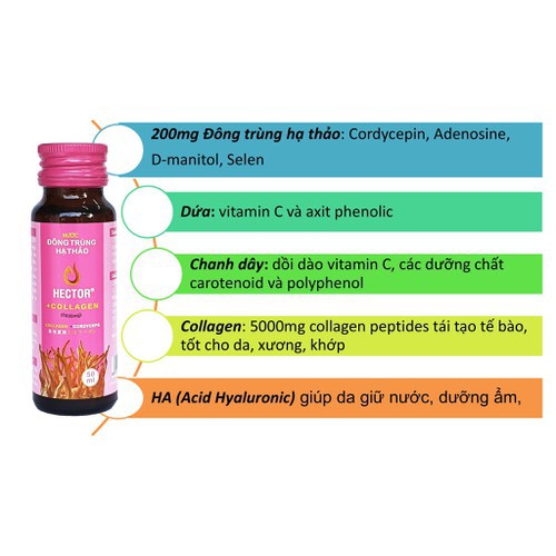 Nước Đông Trùng Hạ Thảo Hector Collagen Hộp 10 Chai Hector Cordyceps Collagen