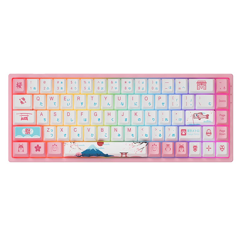 Bàn phím cơ AKKO 3068 v2 World Tour Tokyo R2 RGB – Bluetooth 5.0 (Gateron switch / Foam tiêu âm / Pr