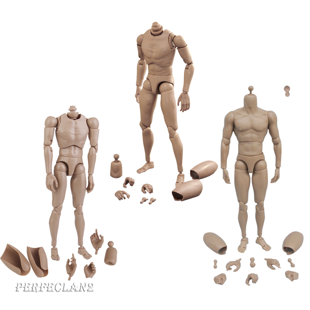 [PERFECLAN2] Narrow Shoulder 1:6 Scale Male Figure Muscular Body for TTM18 TTM19 Hot Toys