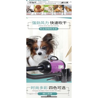 Máy sấy lông chó mèo chuyên dụng