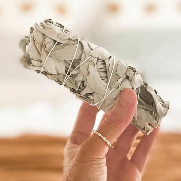 Xô Thơm (White Sage) Thanh Tẩy Bài Tarot & Làm Sạch Đá Phong Thủy l XÔ THƠM THANH TẨY | BigBuy360 - bigbuy360.vn