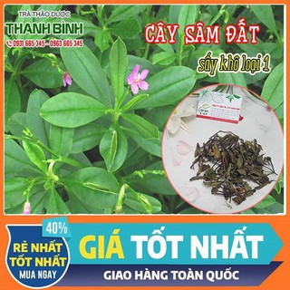 Cây Sâm Đất 100g - Thu Hái 100% Tự Nhiên