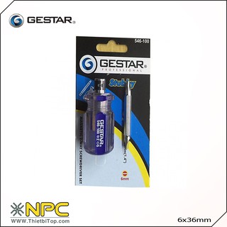 Tô vít sọc trong 2 đầu lùn 6x36 ge546-100 gestar 50-033