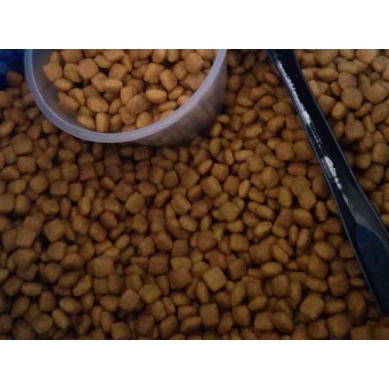 Thức ăn cho chó Bull pháp - DR. Glint - Túi 2kg