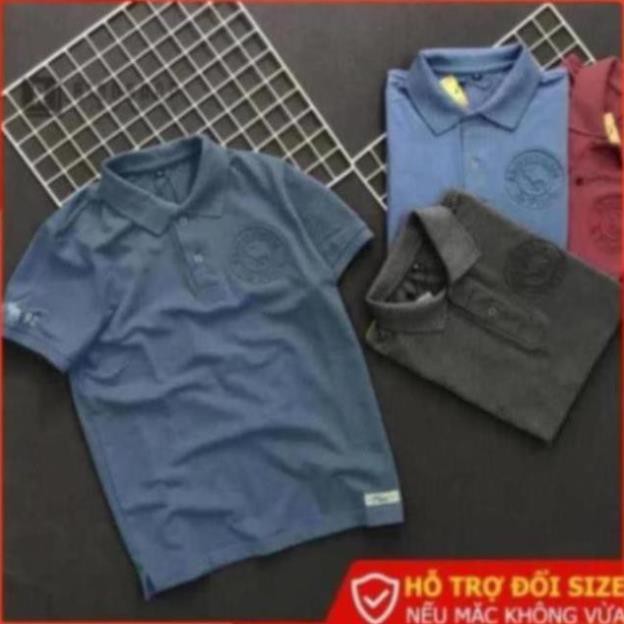 Áo thun nam đẹp có cổ Riooshop logo nổi cao cấp RXP026