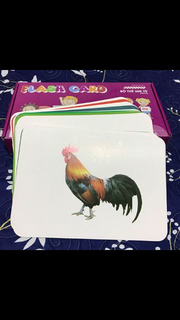 Bộ thẻ Flashcard dạy trẻ thế giới xung quanh