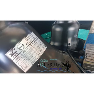 Máy bơm hồ Koi Periha PG 25