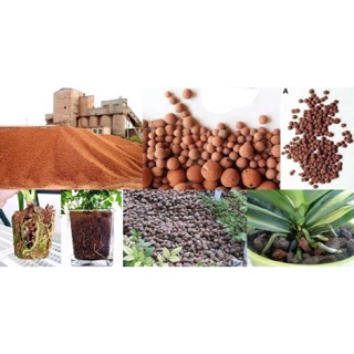 Sỏi nhẹ trồng lan gói nhỏ( đất nung) đóng gói