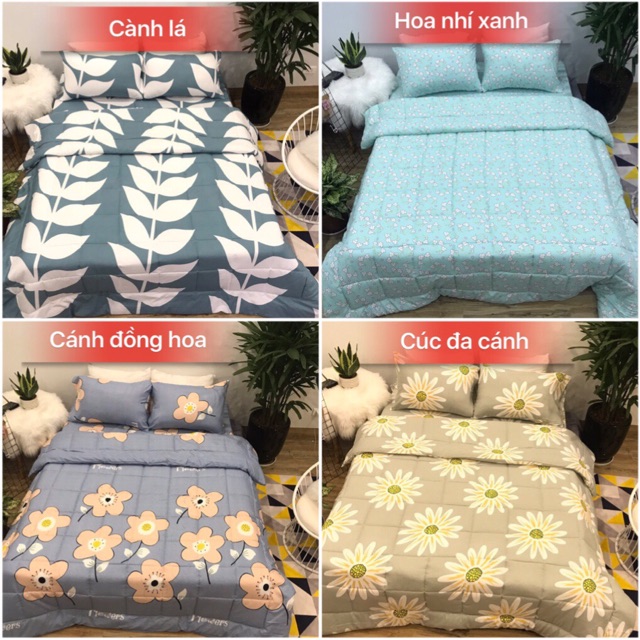 Chăn Ga COTTON ĐŨI loại DÀY - Sợi vải dày - Mềm mịn -> chát shop chọn mẫu