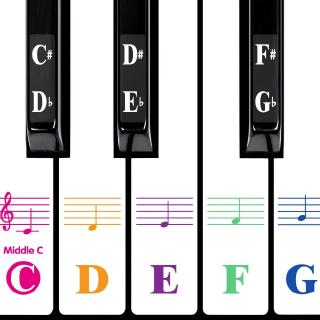 88/61/54/49 phím đàn piano bàn phím dán trong suốt piano trẻ em mới bắt đầu dán