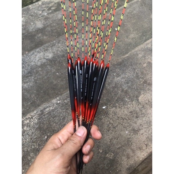 Phao câu đài chuyên câu rô phi