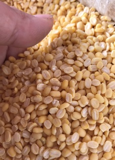 Đỗ xanh tách vỏ