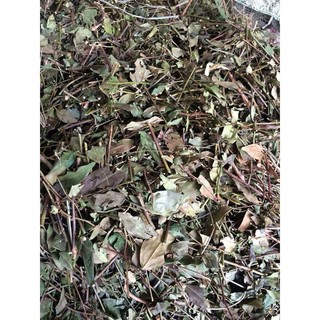Chè Vằng lợi sữa giảm cân tiêu viêm