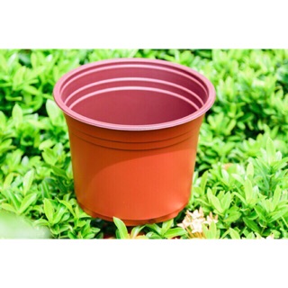 Chậu nhựa nâu n20
