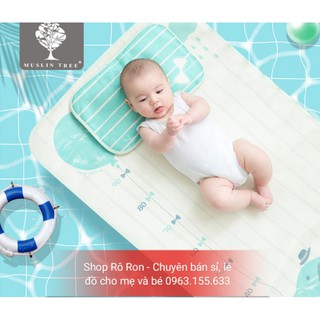 CHIẾU LỤA ĐIỀU HÒA 3D KÈM GỐI THẢO DƯỢC CHO BÉ