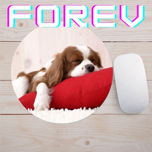 Miếng lót chuột máy tính Forev, bàn di chuột siêu dễ thương 20X20 giá rẻ, tấm lót chuột nhỏ gọn tiện lợi