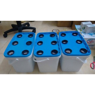 Bộ 3 THÙNG TRỒNG THỦY CANH HOPTRI GROWBOX LEAFTY CHO RAU ĂN LÁ
