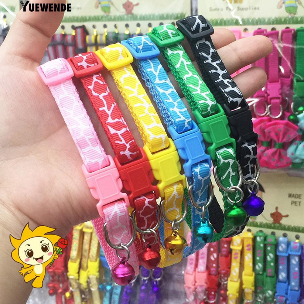 Vòng cổ cho chó mèo