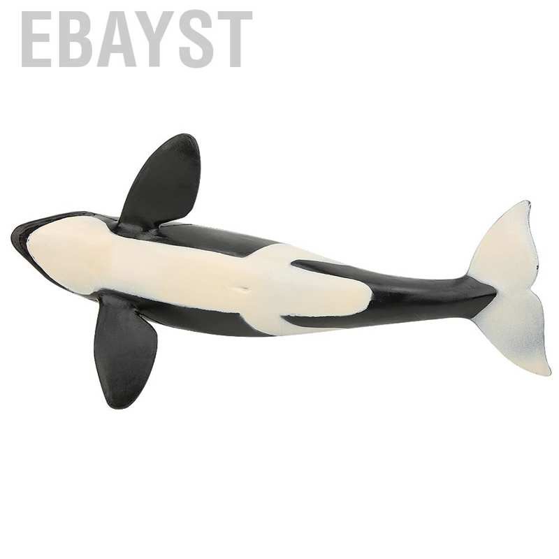 Bộ Mô Hình Cá Voi Sinh Động Làm Quà Tặng Cho Bé