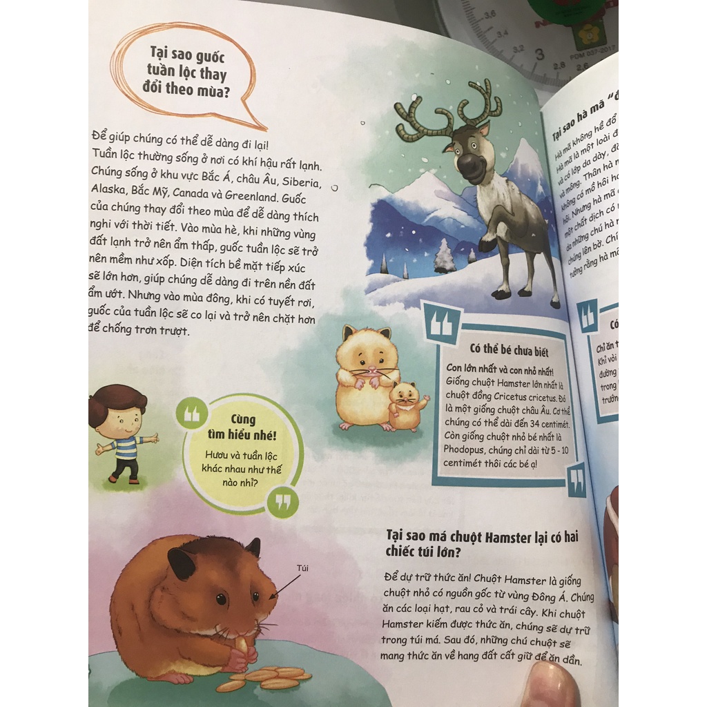 Sách - 10 vạn câu hỏi cho siêu nhí ( what , why , when , how , combo 4 quyển ) ( Megabooks )