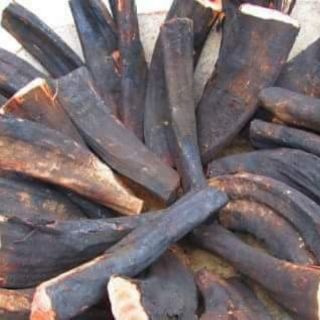 Cỏ bổ máu tăng cân
