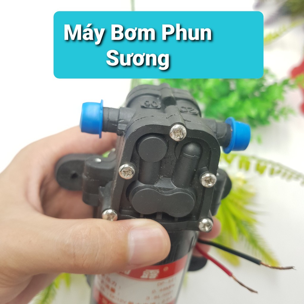 Máy Bơm Tăng Áp 12V DP-521Máy Phun Sương Tăng Áp 3.5 LítBơm Nước 12V Động Cơ 775