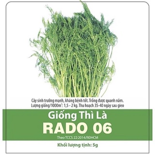 Hạt giống thì là rạng đông 5 gram , giống tốt giá rẻ
