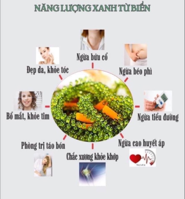 5 bịch mỗi bịch 100gr rong nho tách nước thượng hạng đạt tiêu chuẩn xuất khẩu
