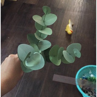 Set lá táo bạc