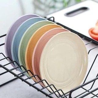 SET 6 ĐĨA LÚA MẠCH SIÊU XINH CHO GIA ĐÌNH