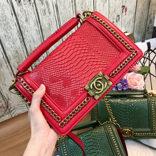 CN RẮN VIỀN XÍCH