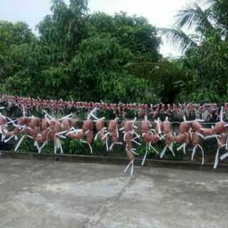 Lạp xưởng nhà làm