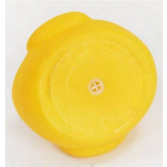 Vịt chíp thả bồn tắm